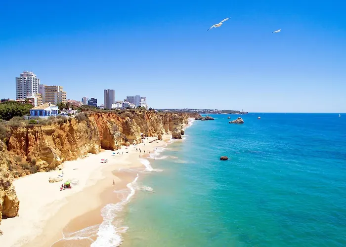 A52 - Quintao In * 波尔蒂芒